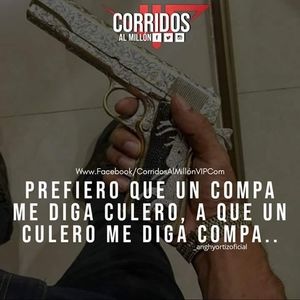 Meet your Posher, Roky